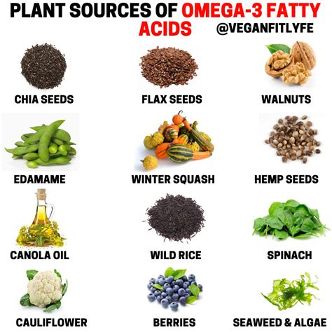 plant based omega 3 benefits